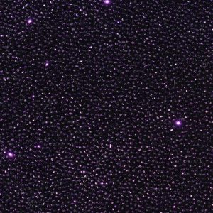 Apparel Fabric |  1yd The Witching Hour Galaxy Velvet Fabric Purple