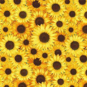 Cotton Fabric |  1yd Sunflower Garden Cotton Fabric