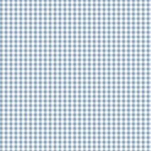 Flannel Fabric |  1yd Blue Check Super Snuggle Flannel Fabric